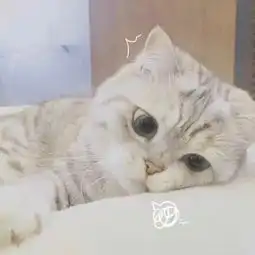  你最想对无缝接轨的前任的现任说什么