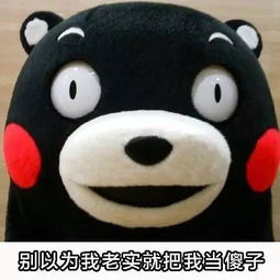  虽然我是个老实人,但我也不是好欺负的熊本熊斗图表情包搞笑图片