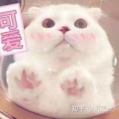  mbti去玩密室逃脱是怎么样的