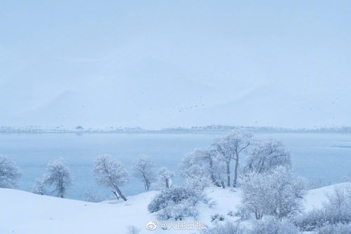  罕见美景塔克拉玛干沙漠雪景宛若童话