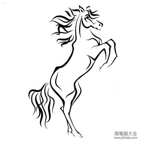  动物简笔画骏马简笔画图片