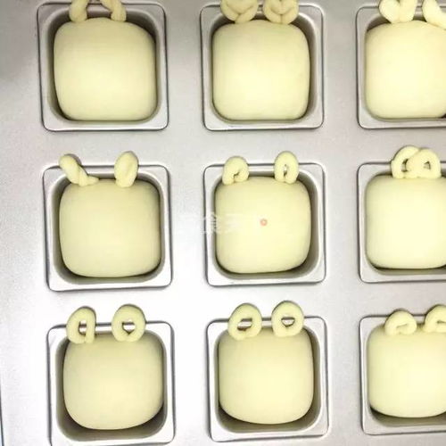  烘焙课堂爱不释手的萌宠卡通小兔子酸奶面包