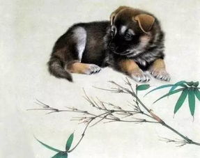 发财狗头像可爱生肖狗