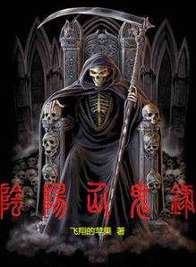  纵横中文网
