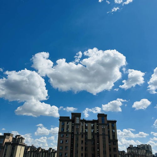  校友会2024陕西省大学最好学科排名,西安交通大学第一,西工大第二