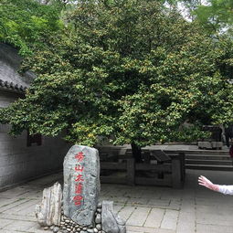  2019崂山太清宫景区门票,青岛崂山太清宫景区游玩攻略,崂山太清宫景区游览攻略路线地址门票价格