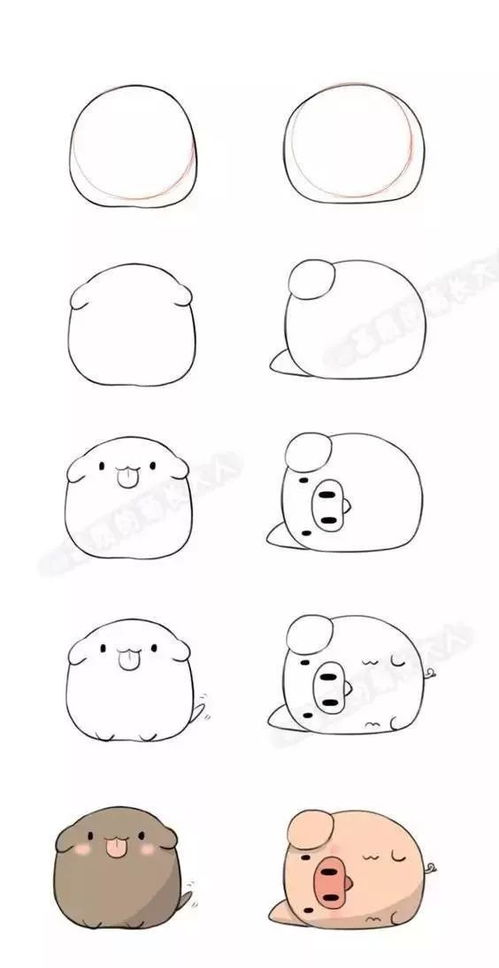 动物简笔画头像图片动物