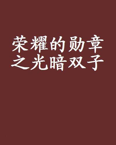  荣耀的勋章之光暗双子