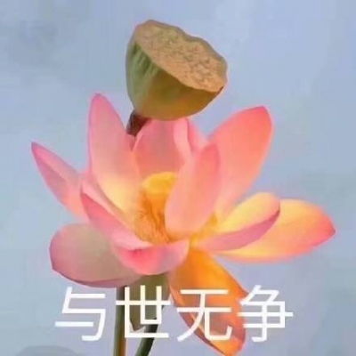  江淮佛系荷花微信头像岁月静好