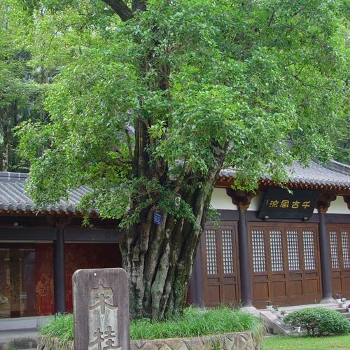  2023个性唯美风景头像