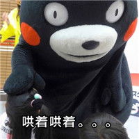  熊本熊带文字的原创表情包你的女朋友为什么生气第二种可能