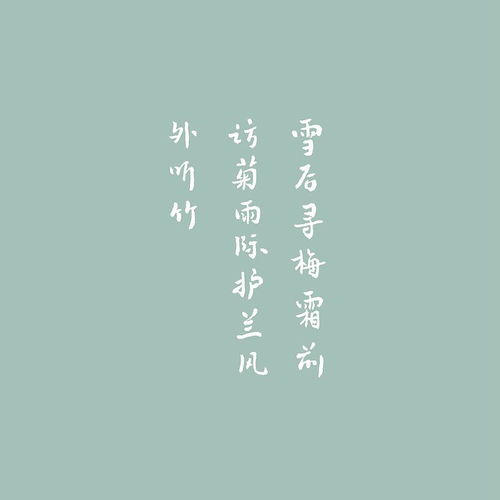  诗收藏夹