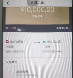 重庆收款码头像