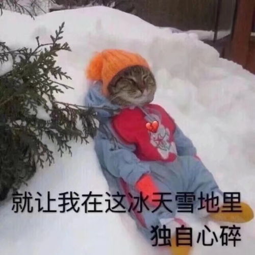  失业很久三个月以上找不到合适的工作是什么感受