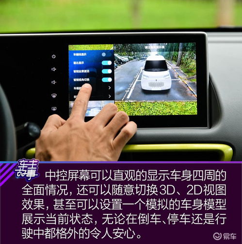  猫系青年的欧拉白猫深度吸猫指南