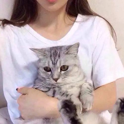  被猫压在胸口睡觉是什么体验