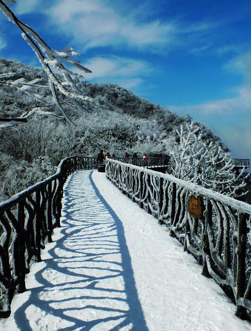  张家界淡季门票价格,张家界导游冬季旅游精品攻略